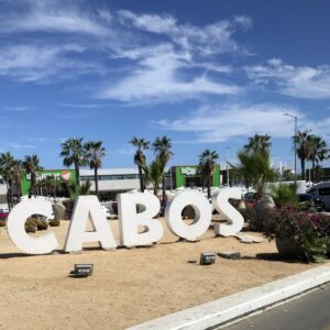 Transfer from San Jose del Cabo / Todos Santos March 11